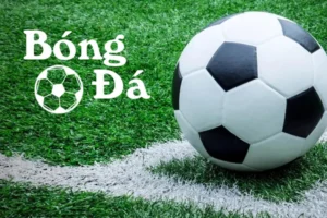 Phân Biệt Tình Huống Bóng Trong Cuộc Và Bóng Ngoài Cuộc
