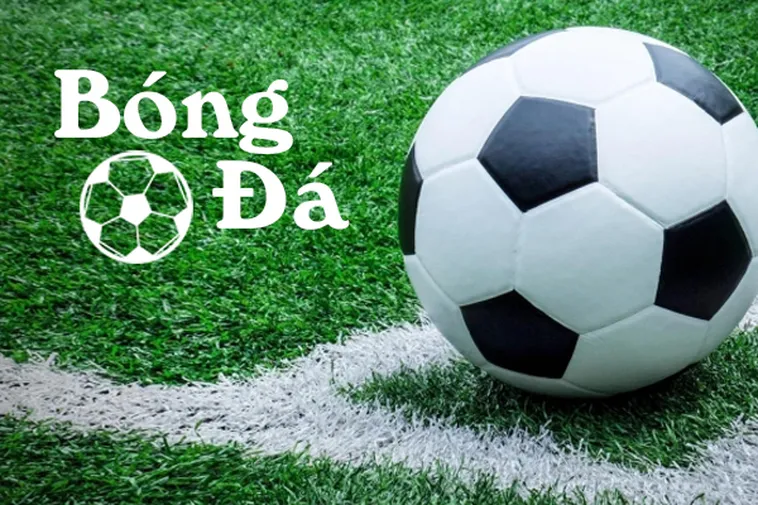 Phân Biệt Tình Huống Bóng Trong Cuộc Và Bóng Ngoài Cuộc