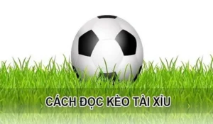 Cách Chơi Kèo Tài Xỉu Hiệp 1 Hiệu Quả Nhất Năm 2026