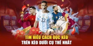 Bí Kíp Áp Dụng Cách Chơi Kèo Trên Kèo Dưới Để Luôn Chiến Thắng Dễ Dàng