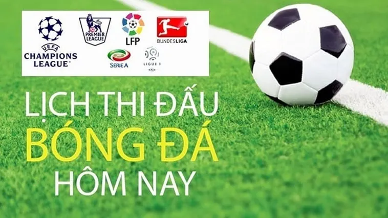 Lịch Thi Đấu Bóng Đá Và Công Tác Tổ Chức Giải Đấu