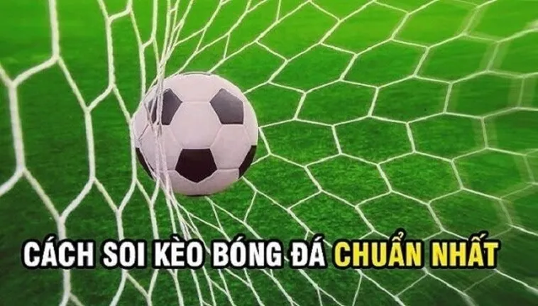 Bí Quyết Chinh Phục Cách Chơi Kèo Rung Trong Bóng Đá Hiệu Quả